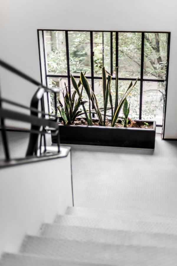 Hotel Itto Condesa 墨西哥城 外观 照片